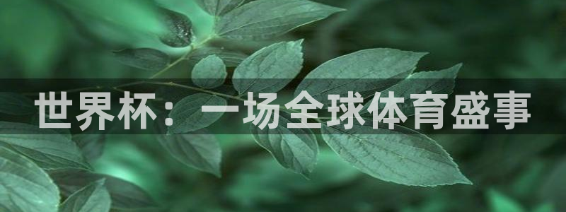 世界杯足球直播：世界杯：一场全球体育盛事