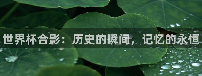 世界杯欧洲区世预赛赛程：世界杯合影：历史的瞬间，记忆的永恒