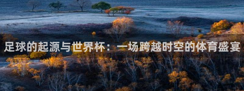 2026世界杯赛程：足球的起源与世界杯：一场跨越时空的体育盛宴