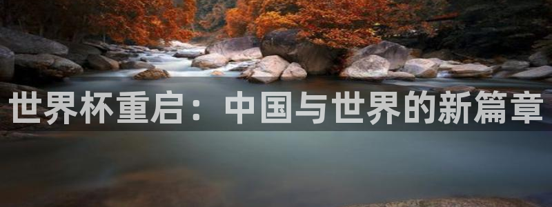 世界杯48支球队赛制：世界杯重启：中国与世界的新篇章