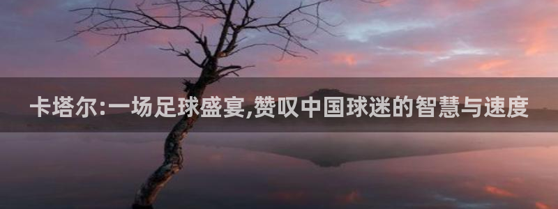 2006年世界杯：卡塔尔:一场足球盛宴,赞叹中国球迷的智慧与速度
