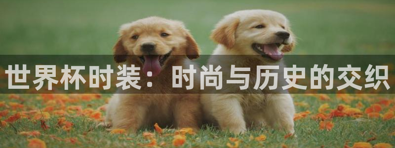 2026世界杯亚洲预选赛：世界杯时装：时尚与历史的交织