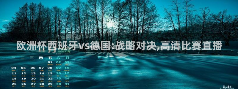 亚洲杯比赛直播：欧洲杯西班牙vs德国:战略对决,高清比赛直播