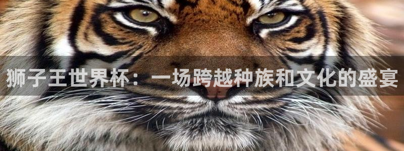 2026世界杯对阵图：狮子王世界杯：一场跨越种族和文化的盛宴