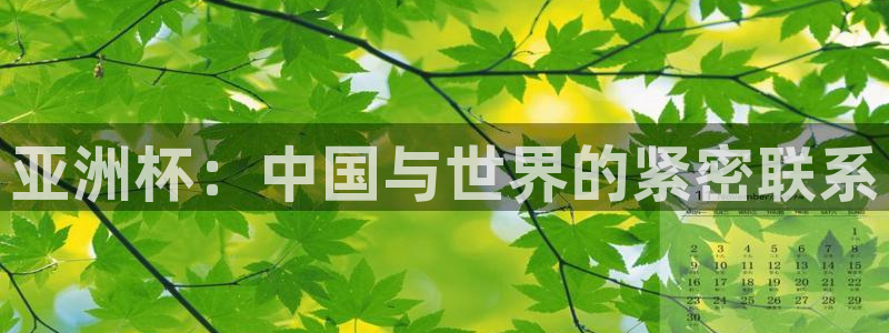 世界杯预选赛亚洲区积分榜：亚洲杯：中国与世界的紧密联系
