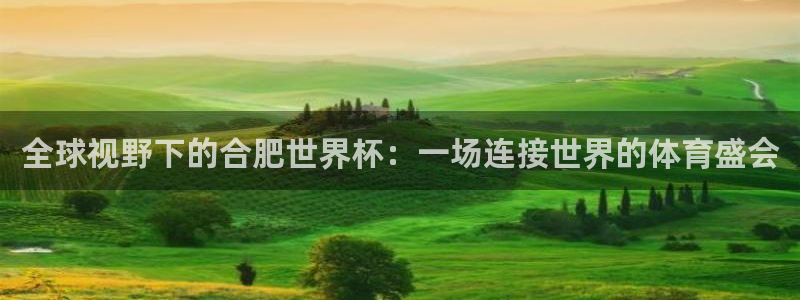 世界杯预选赛赛程时间表：全球视野下的合肥世界杯：一场连接世界的体育盛会