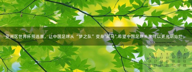 世界杯欧洲预选赛赛程：亚洲区世界杯预选赛，让中国足球从“梦之队”变身\