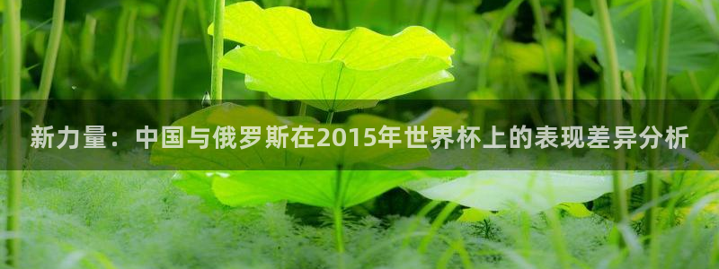 世界杯预选赛排名：新力量：中国与俄罗斯在2015年世界杯上的表现差异分析